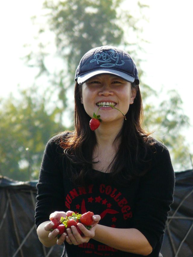 picking strawberries