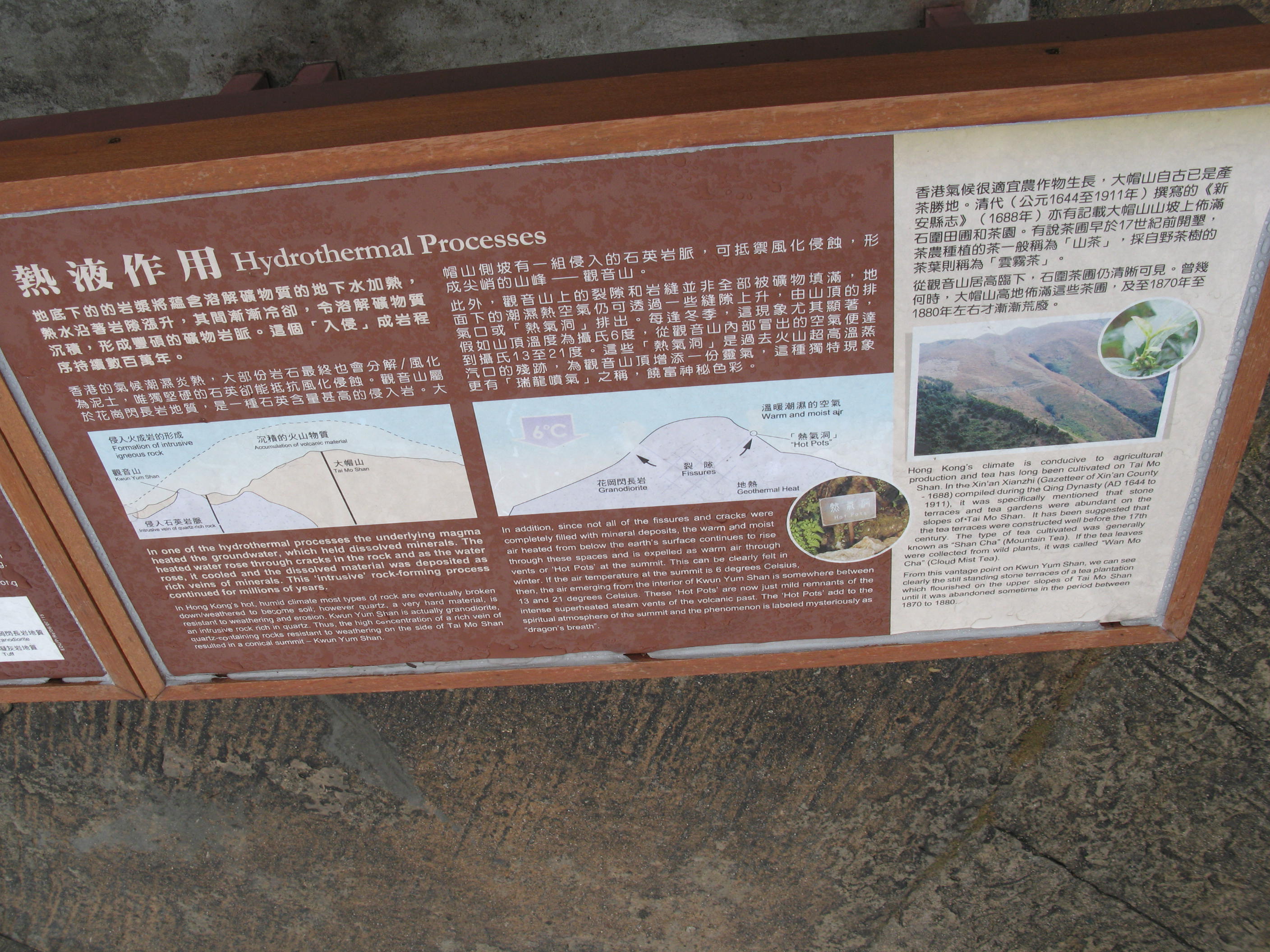 IMG_5654.JPG