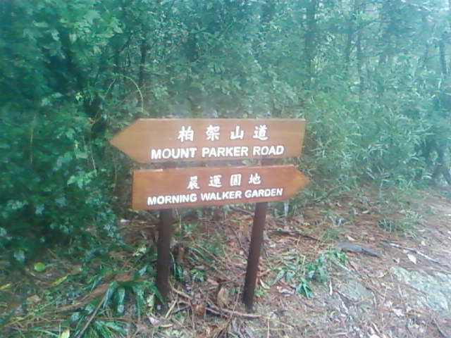 SP_A0647.jpg