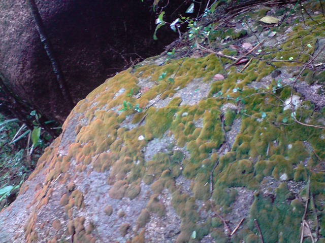 P051008_11.39.JPG