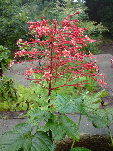 P051008_12.45.JPG