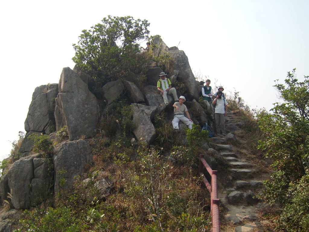 SL273658.JPG