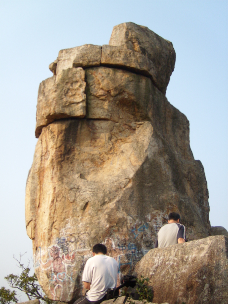 SL273691.JPG