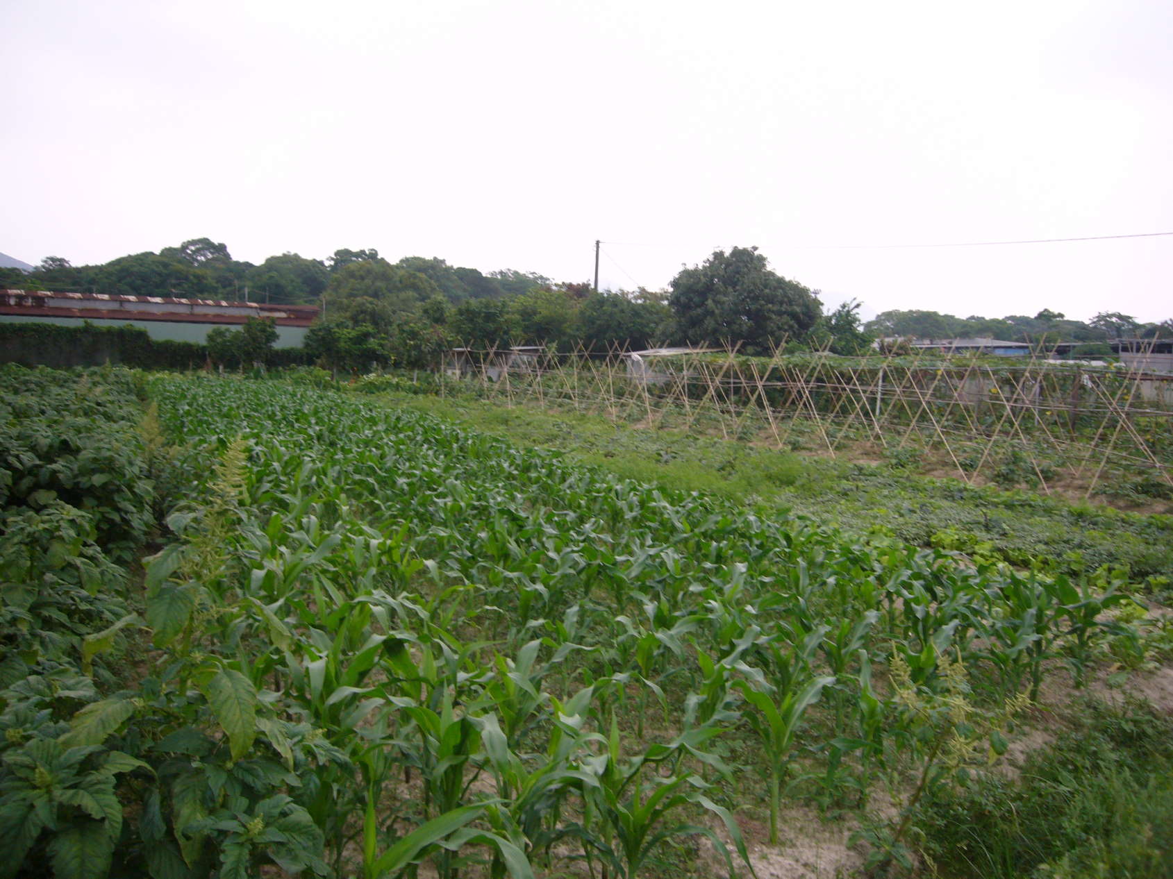 P1080577.JPG