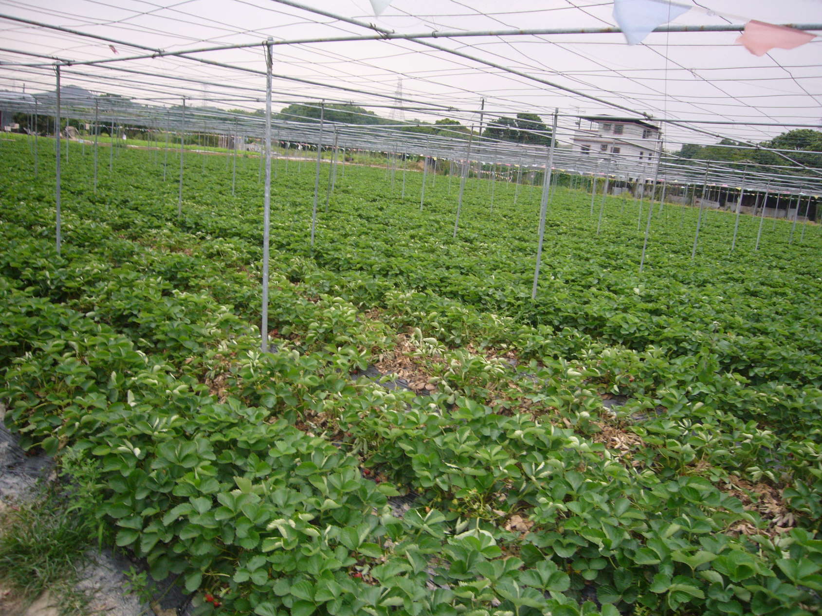 P1080566.JPG