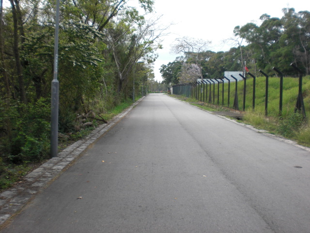 CIMG9329.JPG