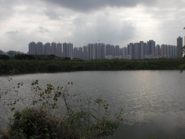 天水圍