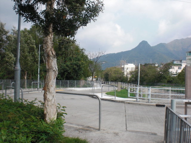 CIMG9309.JPG