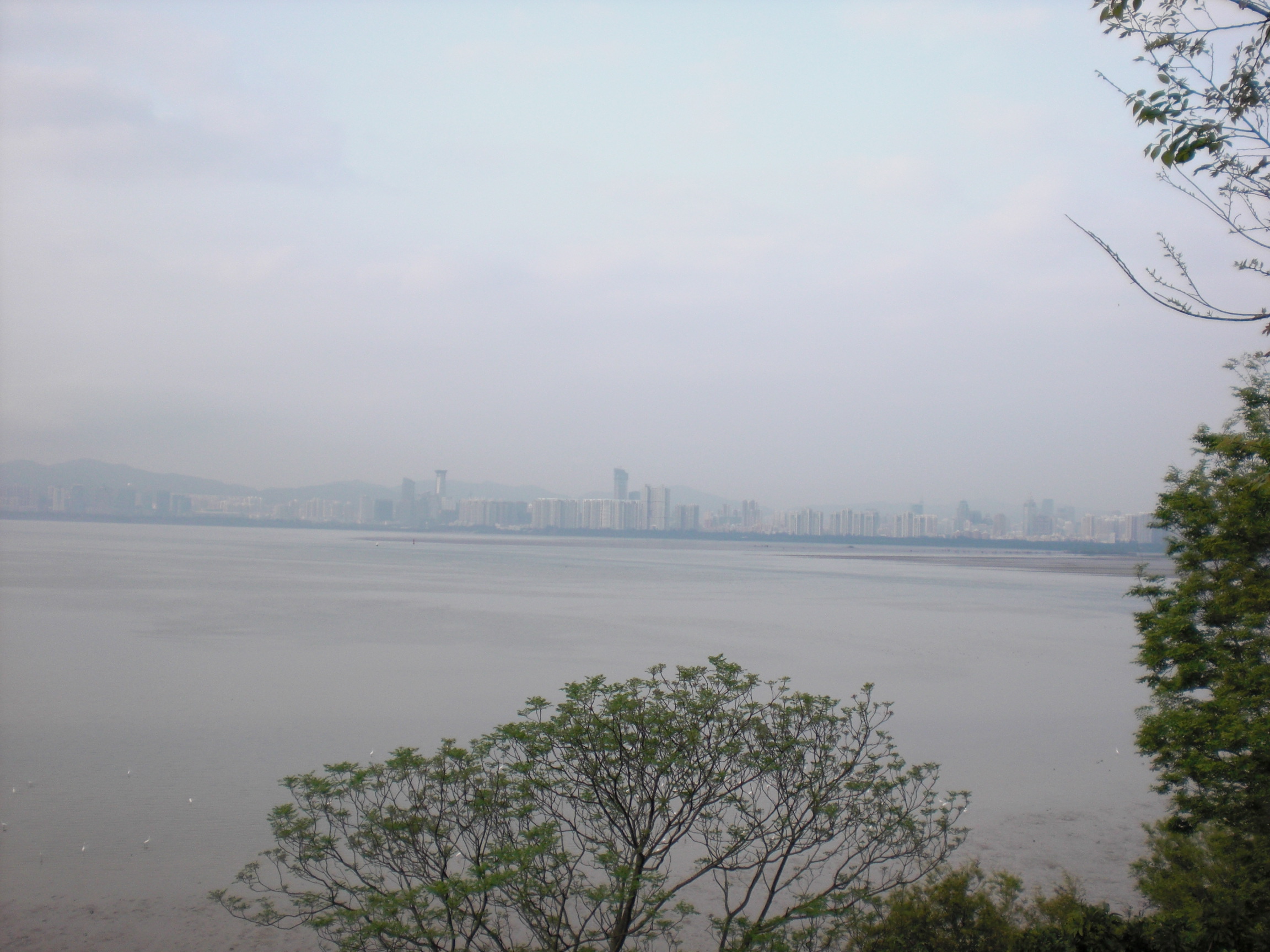 后海灣對面深圳