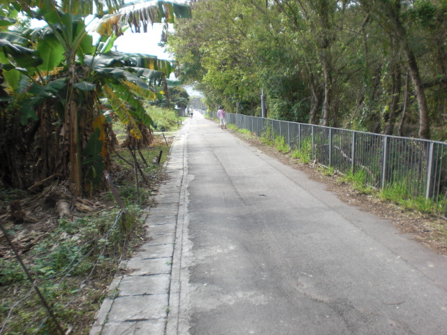 CIMG9317.JPG
