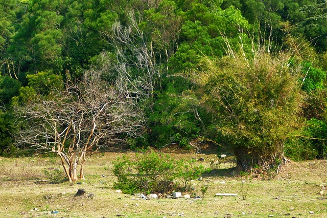 P1060145r.jpg