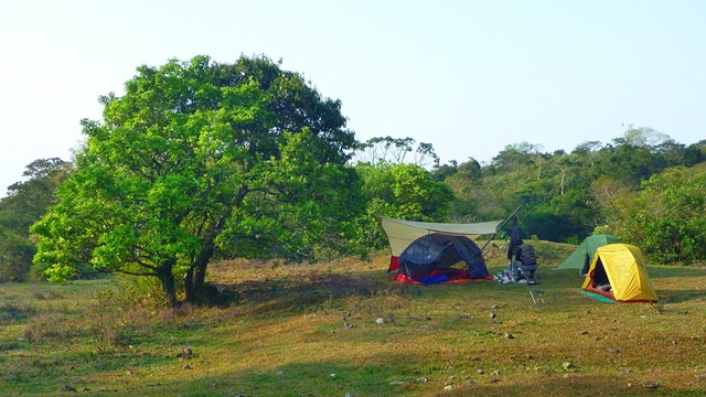 P1060125r.jpg