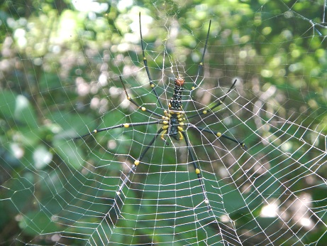 DSCN0915s.jpg
