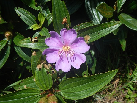 DSCN0914s.jpg