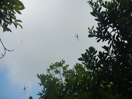 DSCN0941s.jpg
